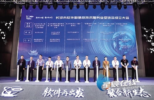 長沙軟件和信息技術(shù)服務(wù)企業(yè)速看 政府政策紅利集中釋放